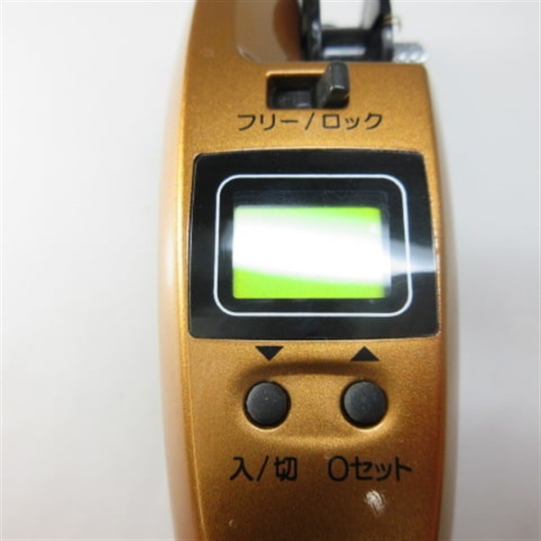 １１ワカサギマチックＤＤＭ オレンジ